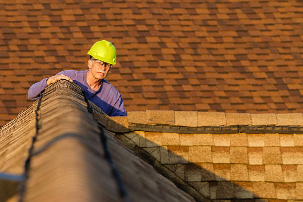 Best Roof Maintenance Services  in Williamsburg, VA